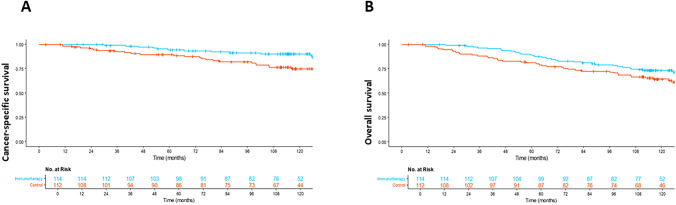 Cancer-specific survival ( A ) and overall survival ( B ) in the RCT population