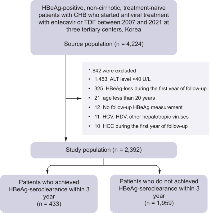 Patient flow diagram. ALT, alanine aminotransferase; CHB, chronic hepatitis B; HBeAg, hepatitis B envelope antigen; HCC, hepatocellular carcinoma; TDF, tenofovir disoproxil fumarate.