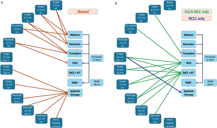 Comparison of first-line treatment allocation between the Korean Liver Cancer Association-National Cancer Center of Korea (KLCA-NCC) and Barcelona Clinic Liver Cancer (BCLC) guidelines. (A) Shared pathways and (B) KLCA-NCC and BCLC pathways shown separately. VI, vascular invasion; Vp1, tumor thrombus in the segmental branches of the PV; Vp2, tumor thrombus in the second-order branches of the PV; Vp3, tumor thrombus in the first-order branches of the PV; Vp4, tumor thrombus in the main trunk of the PV and/or branches of the PV contralateral to the primarily involved lobe; TACE, transarterial chemoembolization; RT, radiotherapy; TARE, transarterial radioembolization; PV, portal vein. *KLCA-NCC recommends surgical resection as an alternative option. †KLCA-NCC recommends combination treatment of conventional TACE plus EBRT for certain cases of hepatocellular carcinoma (HCC) with vascular invasion. ‡KLCA-NCC recommends transarterial radioembolization for single HCC with Vp1-2 or without VI, as well as for multiple localized HCC without VI, as an alternative option.